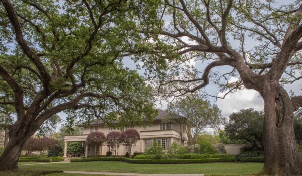 Audubon Houses for Sale New Orleans