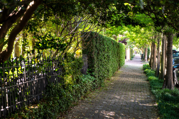 Garden District, New Orleans